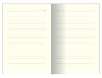 Ежедневник формата B5  №3